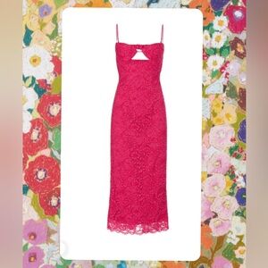 Bardot Fuchsia Lace Midi Dress Large Rent the Runway & Revolve